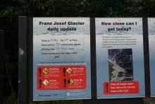 NZ - Franz Josef Glacier